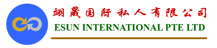 Esun International